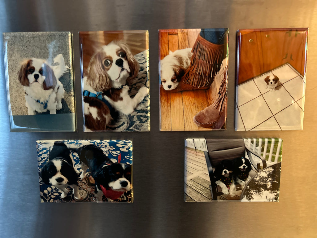 2x3 Custom Rectangular Photo Magnets (set of 6)